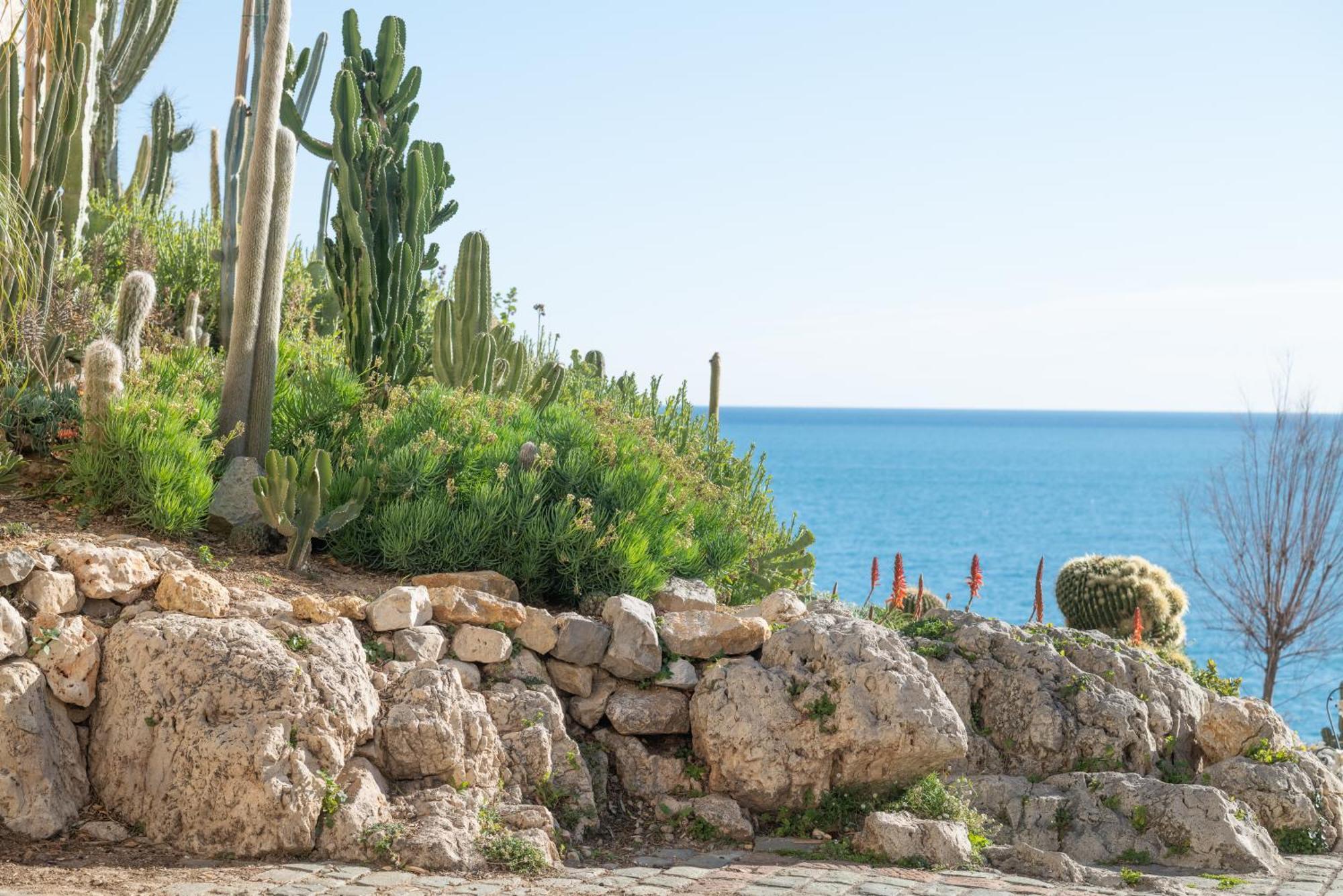 דירות La Pablita, Vieil Antibes, Remparts מראה חיצוני תמונה